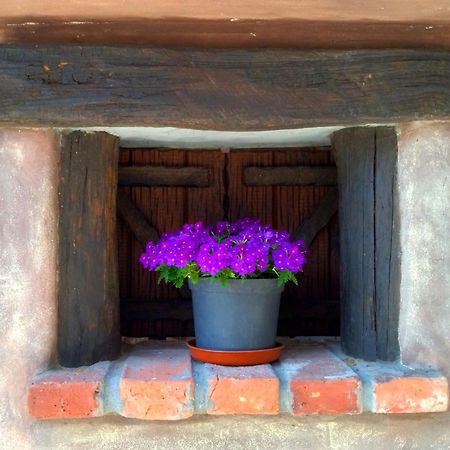 Casa Rural El Cotu En Cangas De Onis Ngoại thất bức ảnh