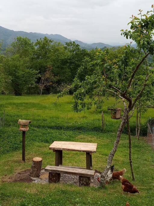 Casa Rural El Cotu En Cangas De Onis Ngoại thất bức ảnh
