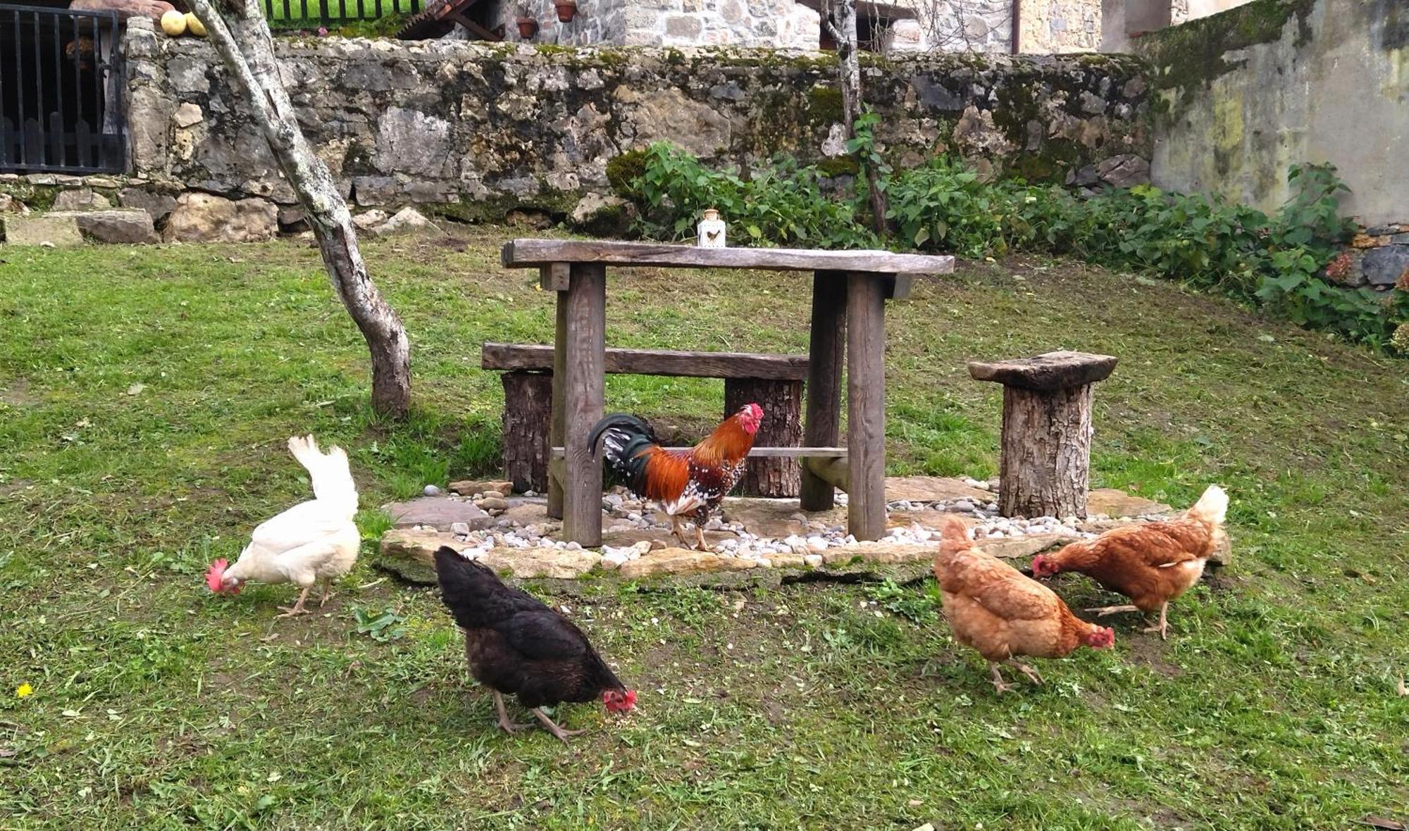 Casa Rural El Cotu En Cangas De Onis Ngoại thất bức ảnh